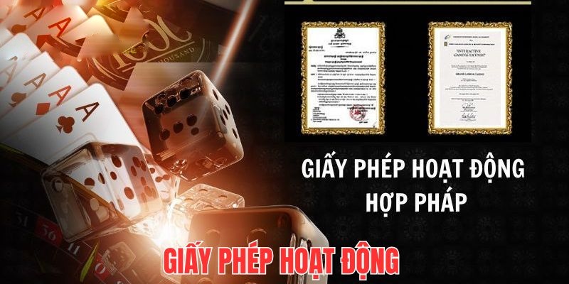 giay-phep-hoat-dong-vai-tro-pg88